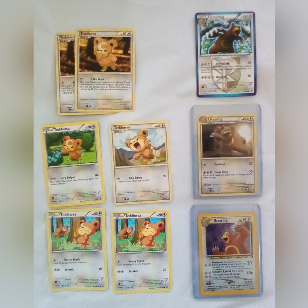 ✨Ursaring Evolution Pokemon Holo Card Bundle✨